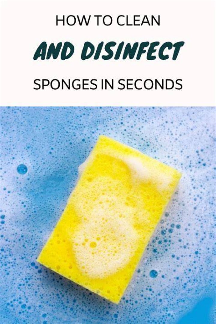 Question: How Do You Disinfect A Sponge??